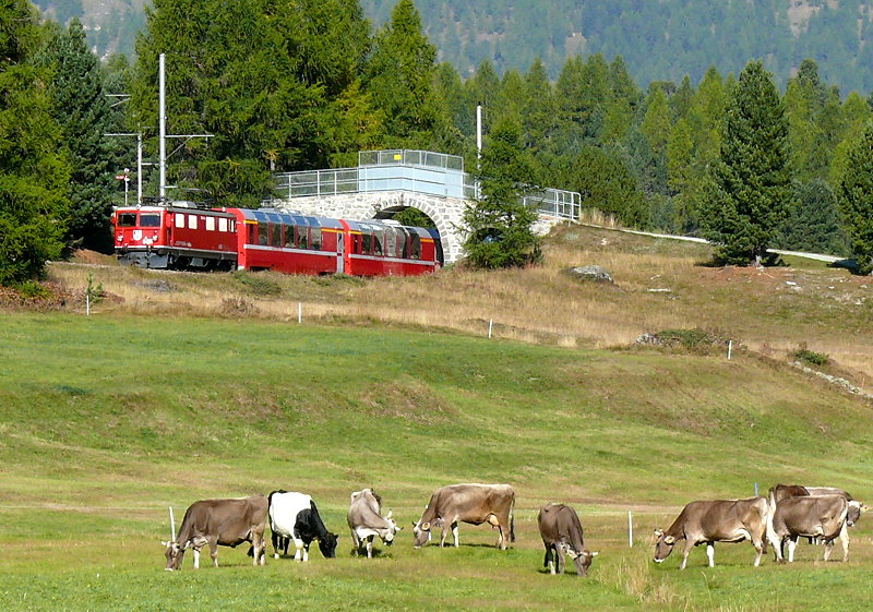 RhB - Bernina-Express 951 von Chur nach Tirano am 28.09.2009 kurz vor Pontresina mit Ge 4/4 I 608 - Ap - Ap - Bp - Bp - Bp - Bp
