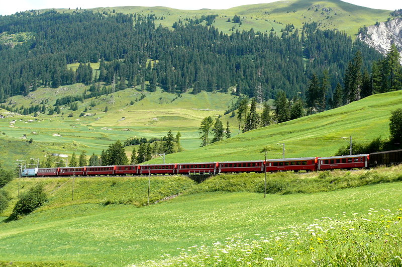 RhB Schnellzug 1129 von Chur nach St.Moritz am 28.07.2010 auf mittlerer Ebene oberhalb Bergn mit E-Lok Ge 4/4III 645 - B - B - B - D - B - B  - B - A - A - Gak-v - Haik-v - Skl 8412
