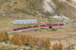 RhB - Bernina-Express 973 von St.Moritz nach Tirano am 04.10.2009 bei Alp Bondo mit Triebwagen ABe 4/4 II 49 - ABe 4/4II 47 - Ap - Ap -Bp - Bp - Bp - Bp  